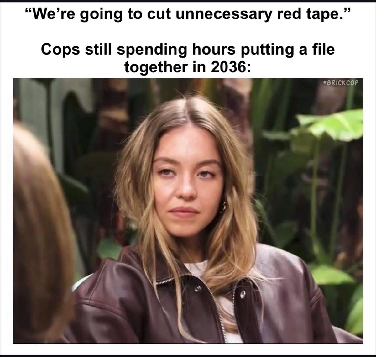 Brick Cop©️ tweet media