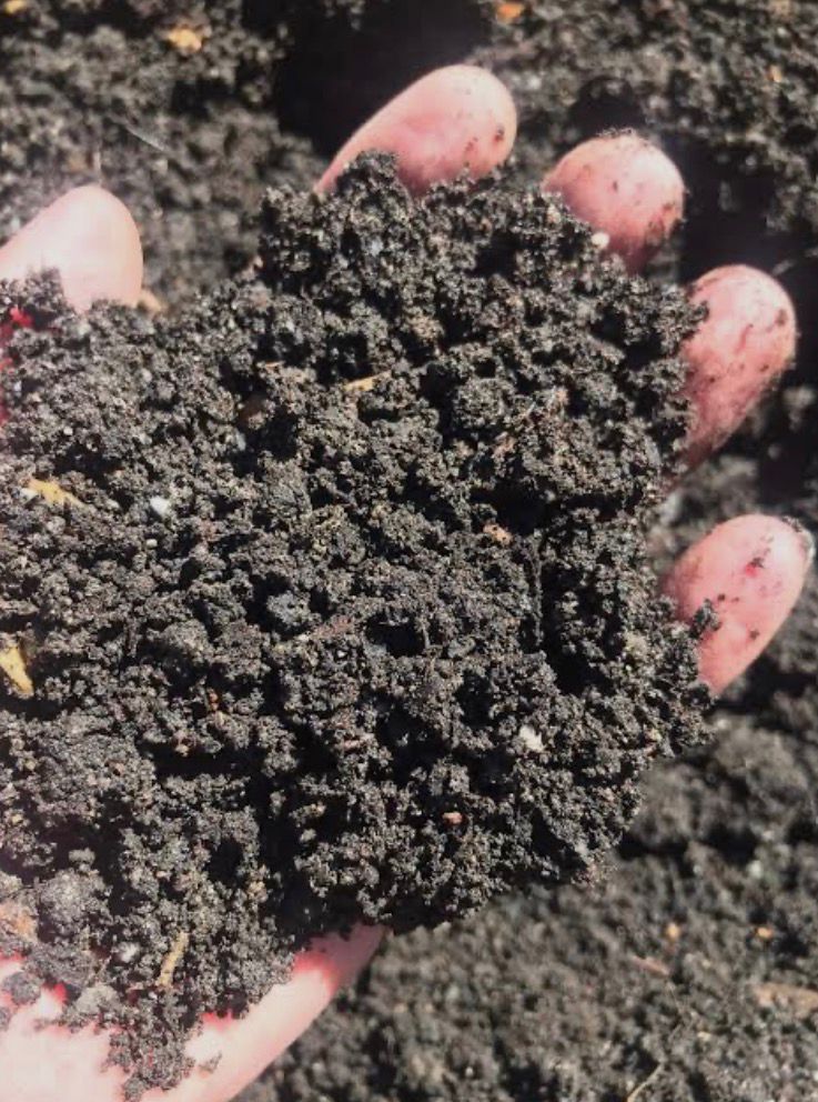 BDSustainableS's tweet photo. Healthy crops begin with healthy soil.
Compostable mulch is designed to lock in soil moisture, suppress weeds, and protect root zones—while breaking down naturally, without leaving behind harmful microplastics. https://t.co/BaqNOx0umu