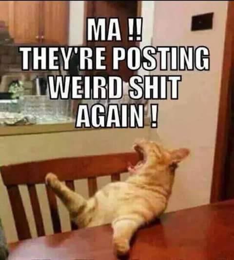 I miss the good old strangely weird meme time! 😅🫶