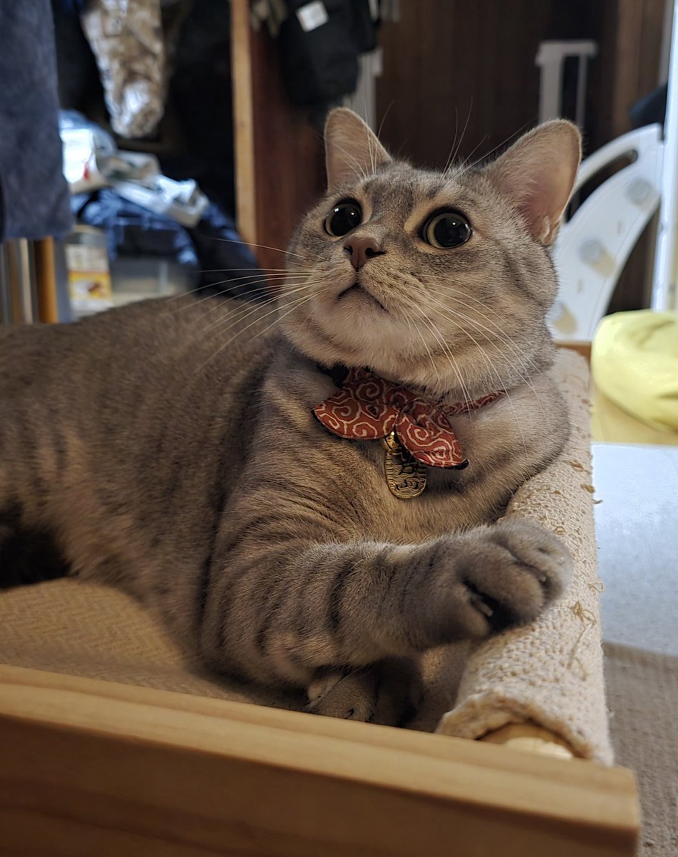 麦パパ (@mugimugi_222) / Posts / X