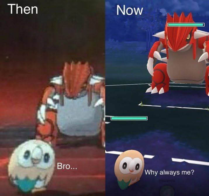 PokemonOnKick's tweet image. Rowlet, your destiny was written