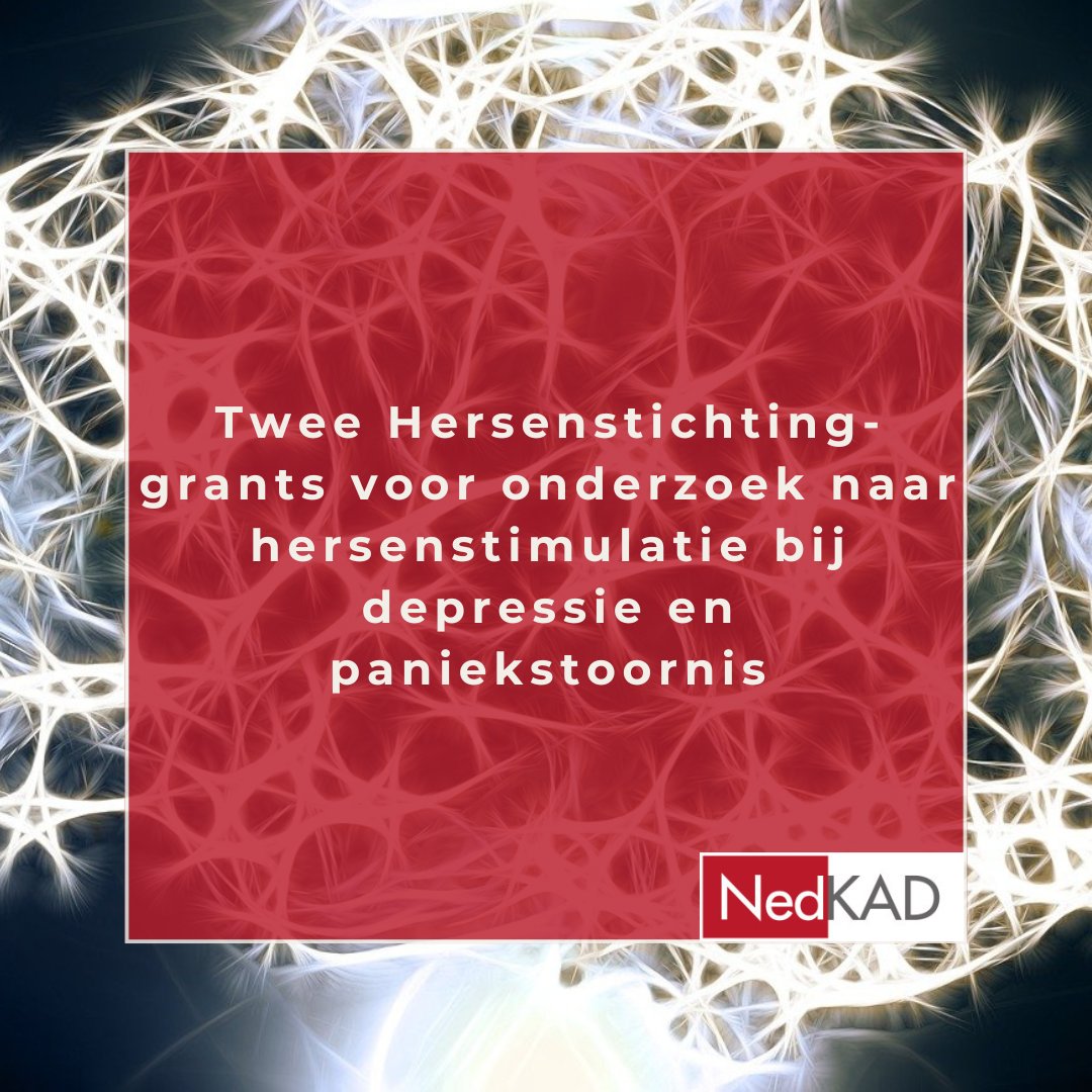 NedKAD tweet media