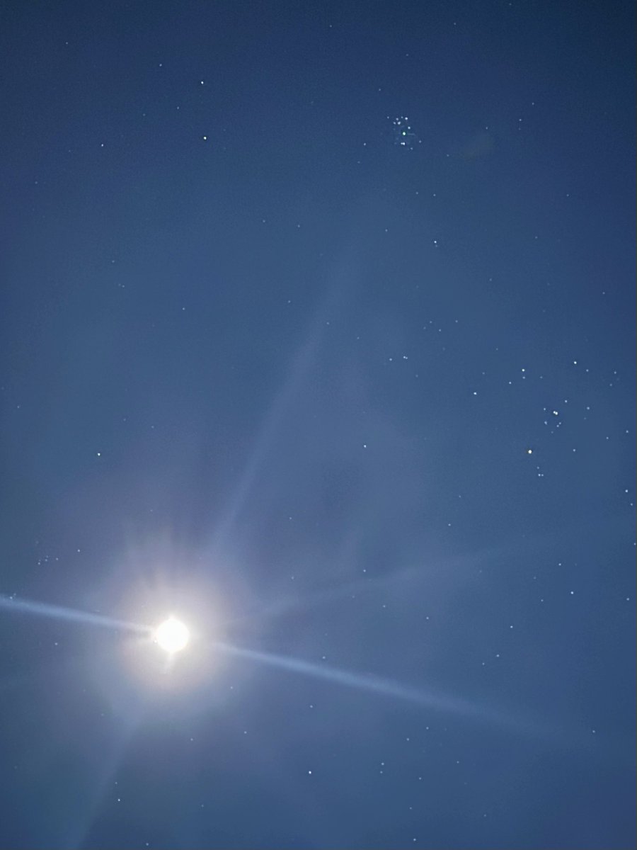 キャサリン (@Xi7ySXjpj2EYGAU) / Posts / X