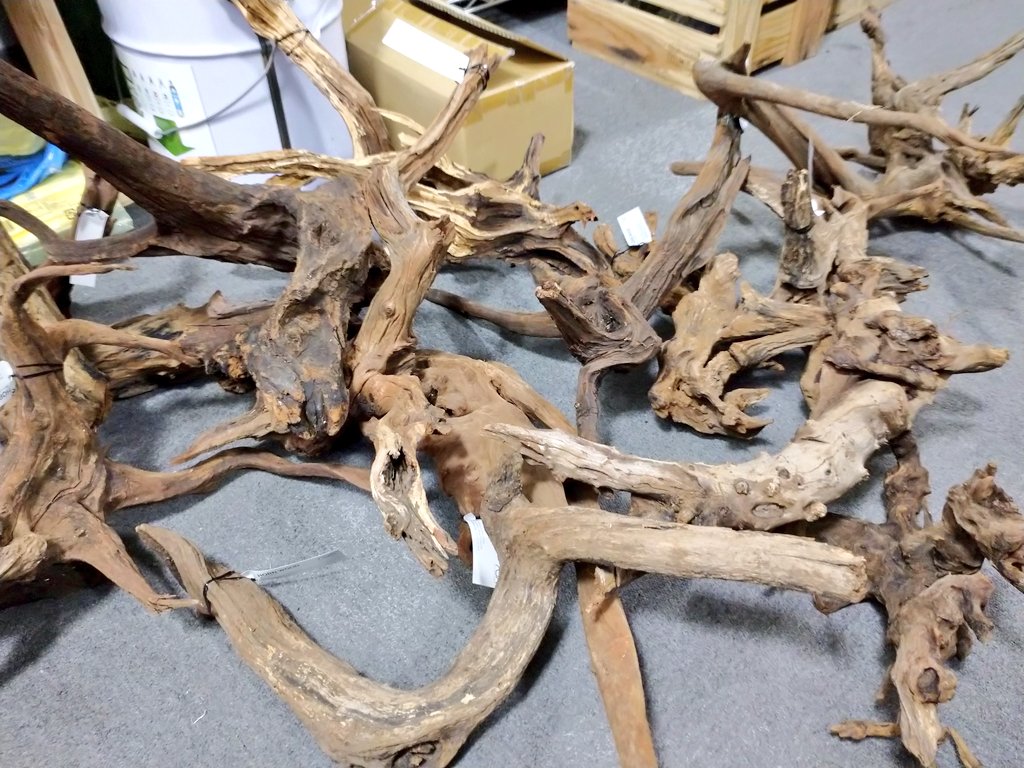 ADAホーンウッドMサイズ、Lサイズをたっぷり追加しました！年末年始で