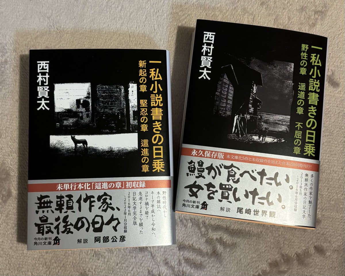 一私小説書きの日乗 / 西村賢太 初出、這進の章を大事に読む。本当に