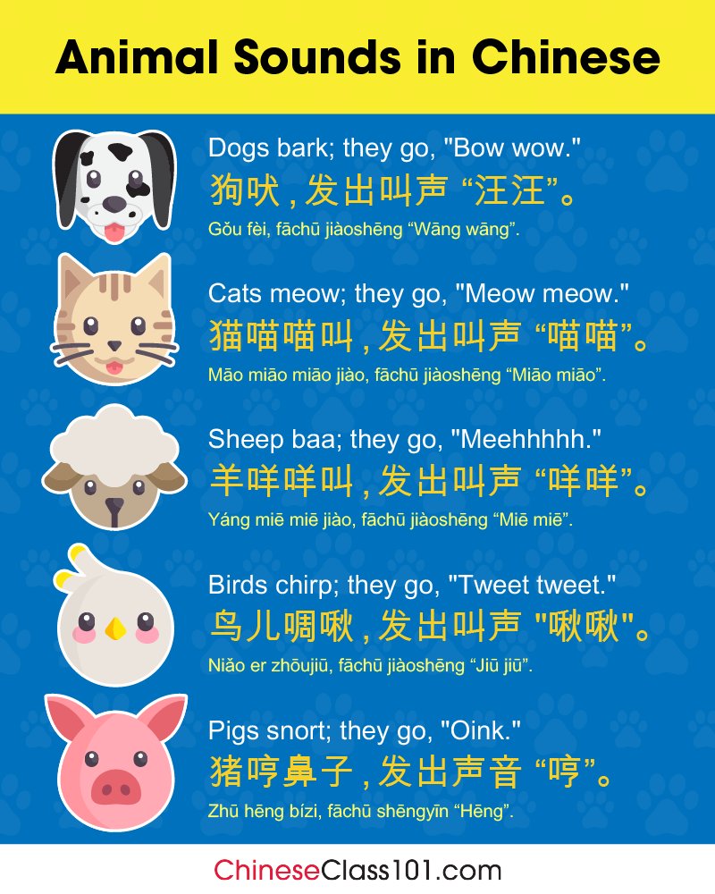 chineseclass101's tweet photo. 🙊🐾 Love animals? Learn their names in Chinese! ✨
From pets to wildlife, boost your vocab the fun way 💬

Learn more for FREE ⬇️
🔗 https://t.co/zbZhgiydQI

#LearnChinese #ChineseAnimals #StudyChinese https://t.co/DFjXbeQDhT