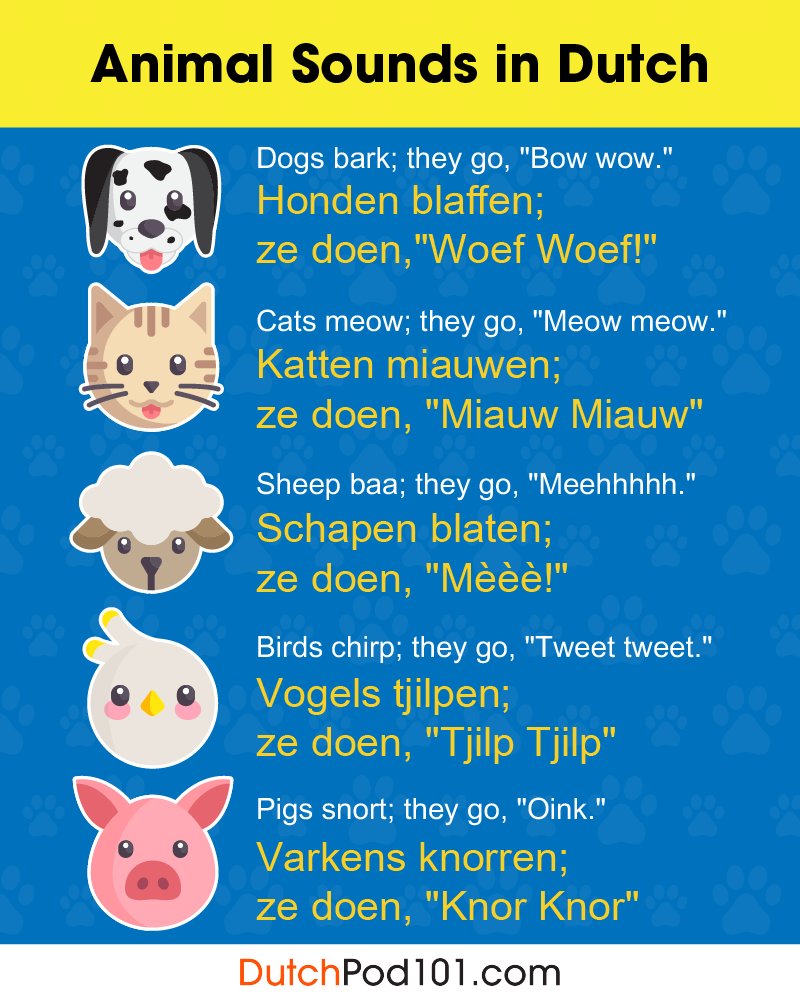 DutchPod101's tweet photo. 🙊🐾 Love animals? Learn their names in Dutch! ✨
From pets to wildlife, boost your vocab the fun way 💬

Learn more for FREE ⬇️
🔗 https://t.co/8yCP8LbKmW

#LearnDutch #DutchAnimals #StudyDutch https://t.co/NxSBORgz0h