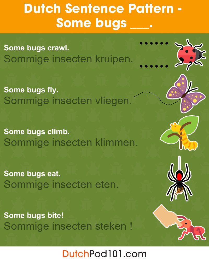 DutchPod101's tweet photo. 🙊🐾 Love animals? Learn their names in Dutch! ✨
From pets to wildlife, boost your vocab the fun way 💬

Learn more for FREE ⬇️
🔗 https://t.co/8yCP8LbKmW

#LearnDutch #DutchAnimals #StudyDutch https://t.co/NxSBORgz0h