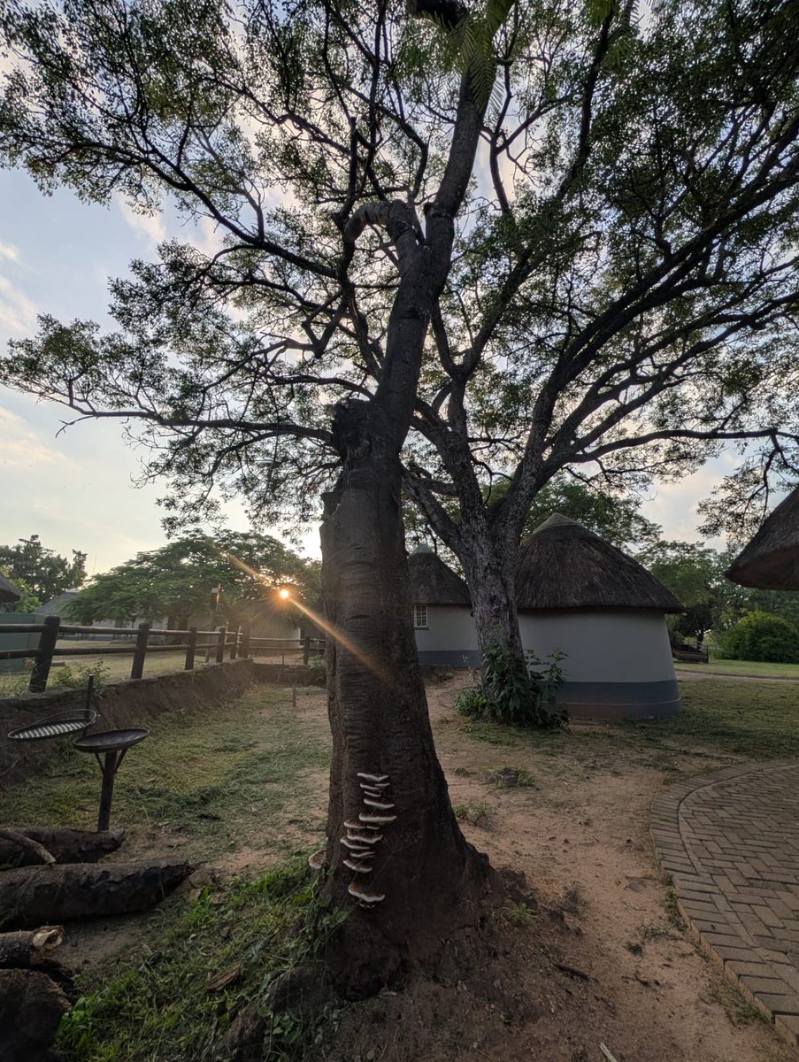 Matrix Academy Trust tweet media