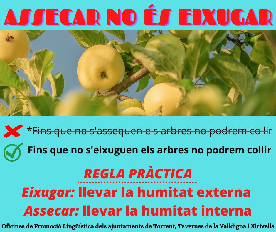 4 ASSECAR NO ÉS EIXUGAR