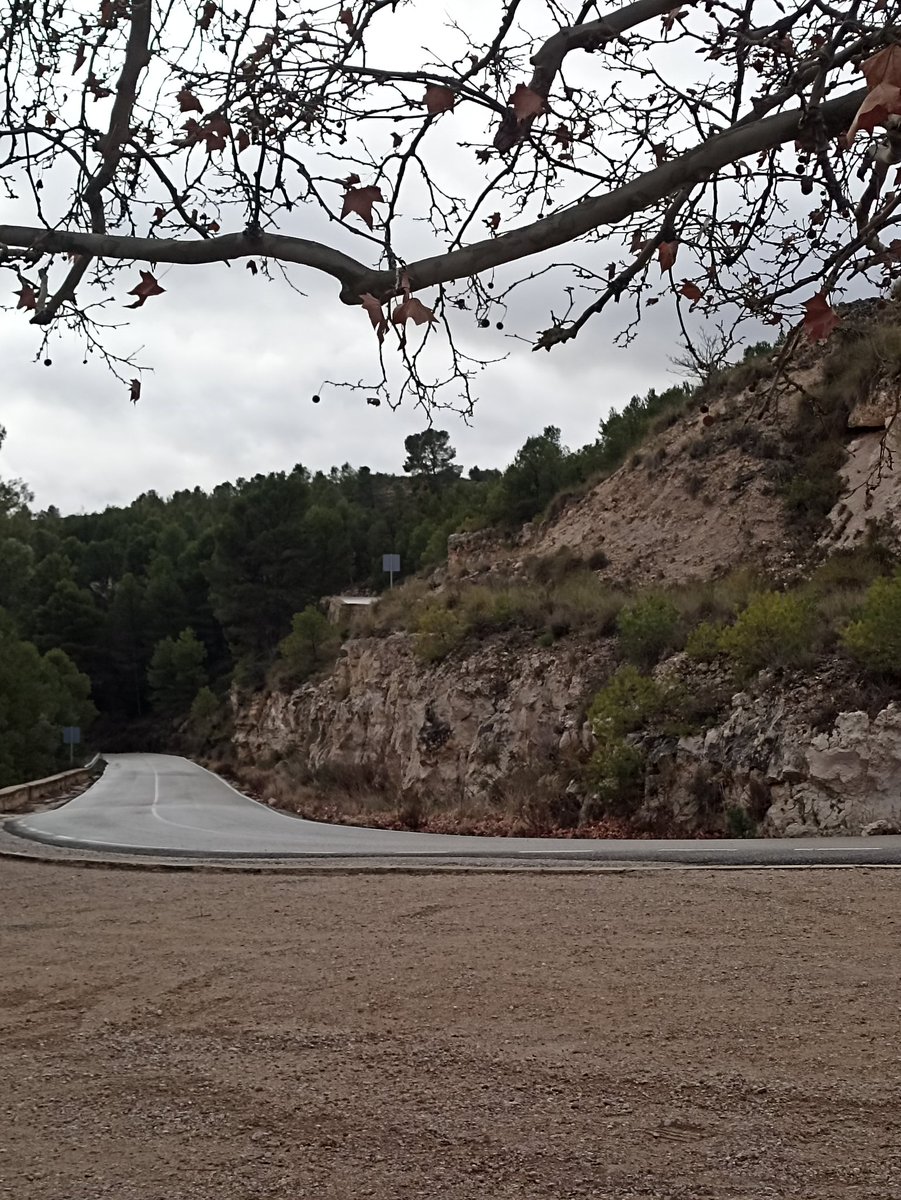 Buenos días
#letrasalacarta
Camino con curvas.
Subidas, bajadas.
Sin ver a donde vas.
Sin ver los obstáculos, ni las planicies.
Camino con curvas.
Cuesta arriba, o barrancos. Caída libre.
Qué decir que no sepas ya.

#microcuento
#relatosbreves