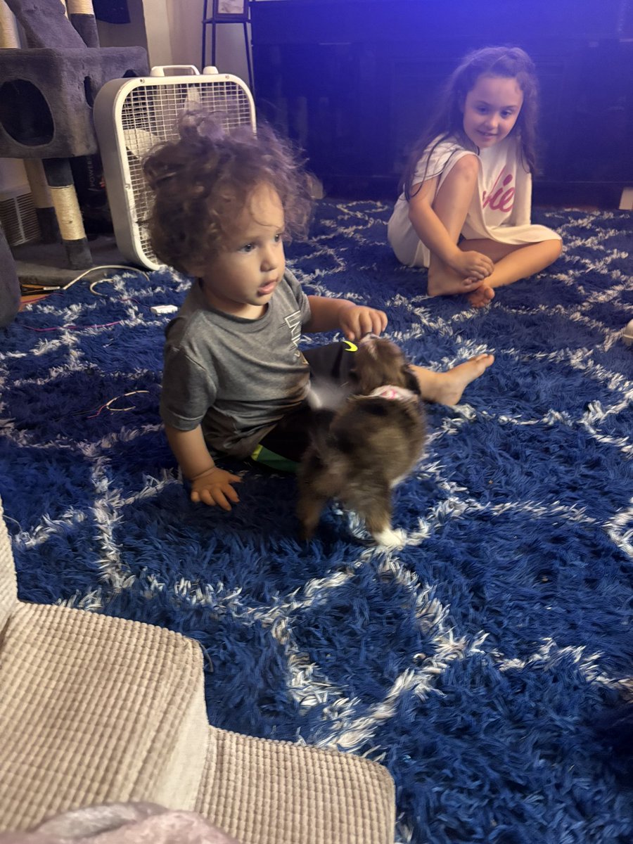 Kristopher Ahmad tweet media