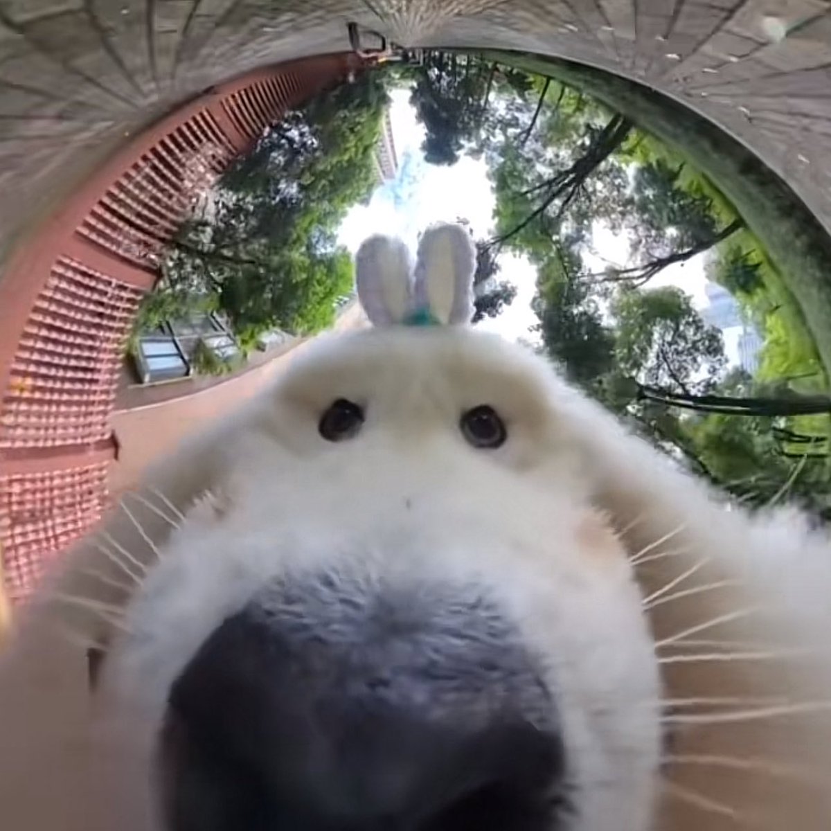 sugakrs's tweet image. คุ้นๆ อ๋าาาาา 

#Almondbabybigboy 
#ด้อมภภ #PSPW