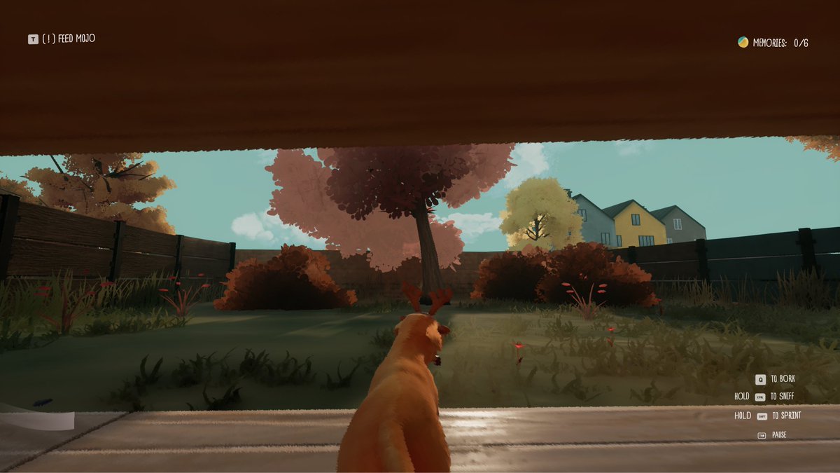 🐕🎾Tailgate — the doggo adventure👨🏻‍💻 tweet media