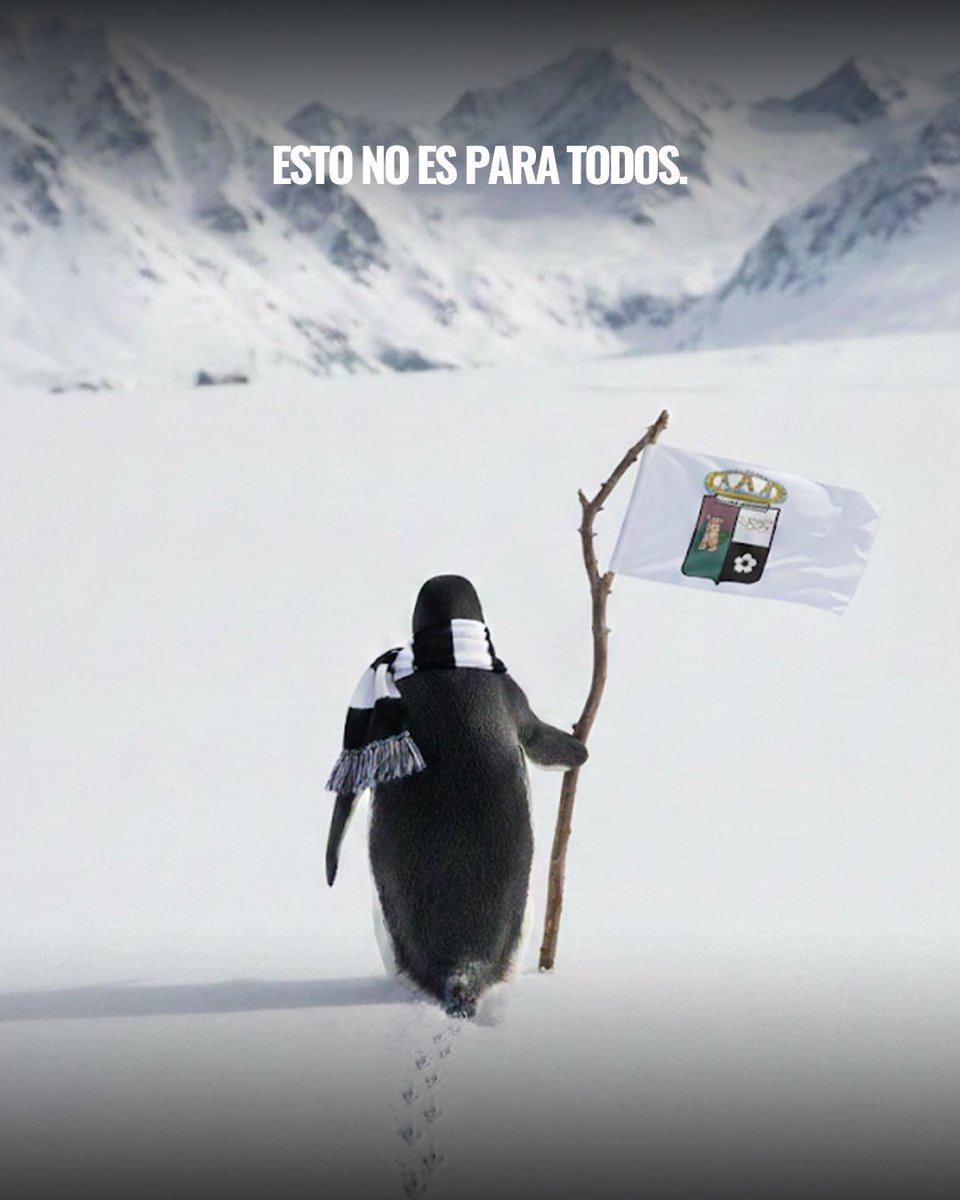 U.P. Plasencia tweet media