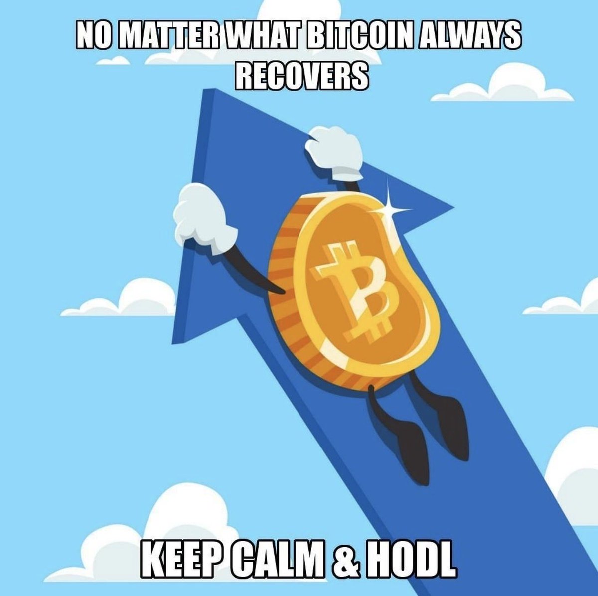 Adrian Voss tweet media