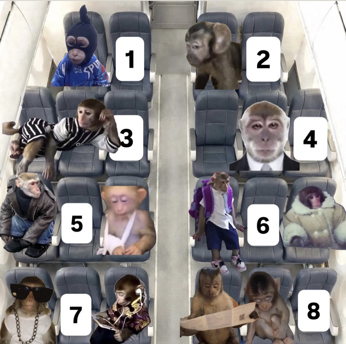 원숭이 아카이브 tweet media