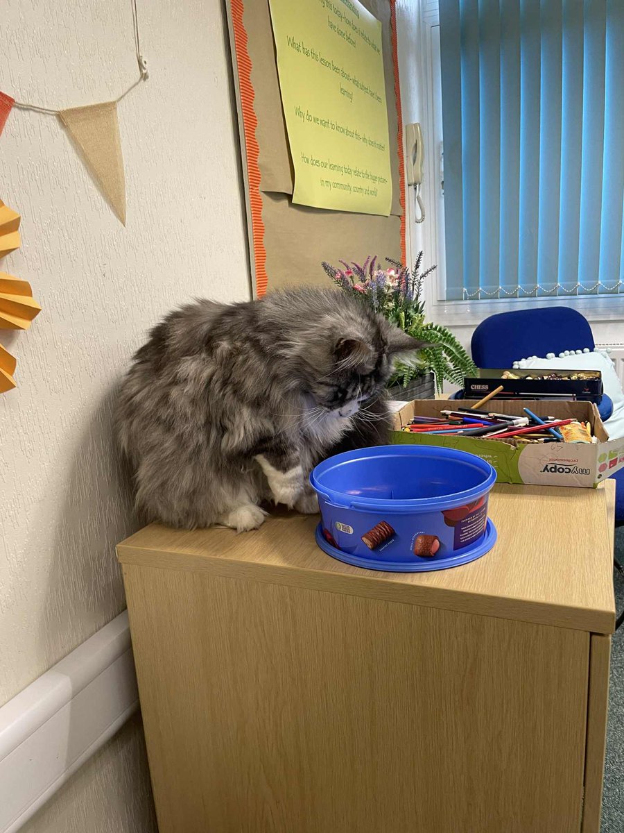 Aloysius O'Hare in memory of Angel Cilla 🌈 tweet media