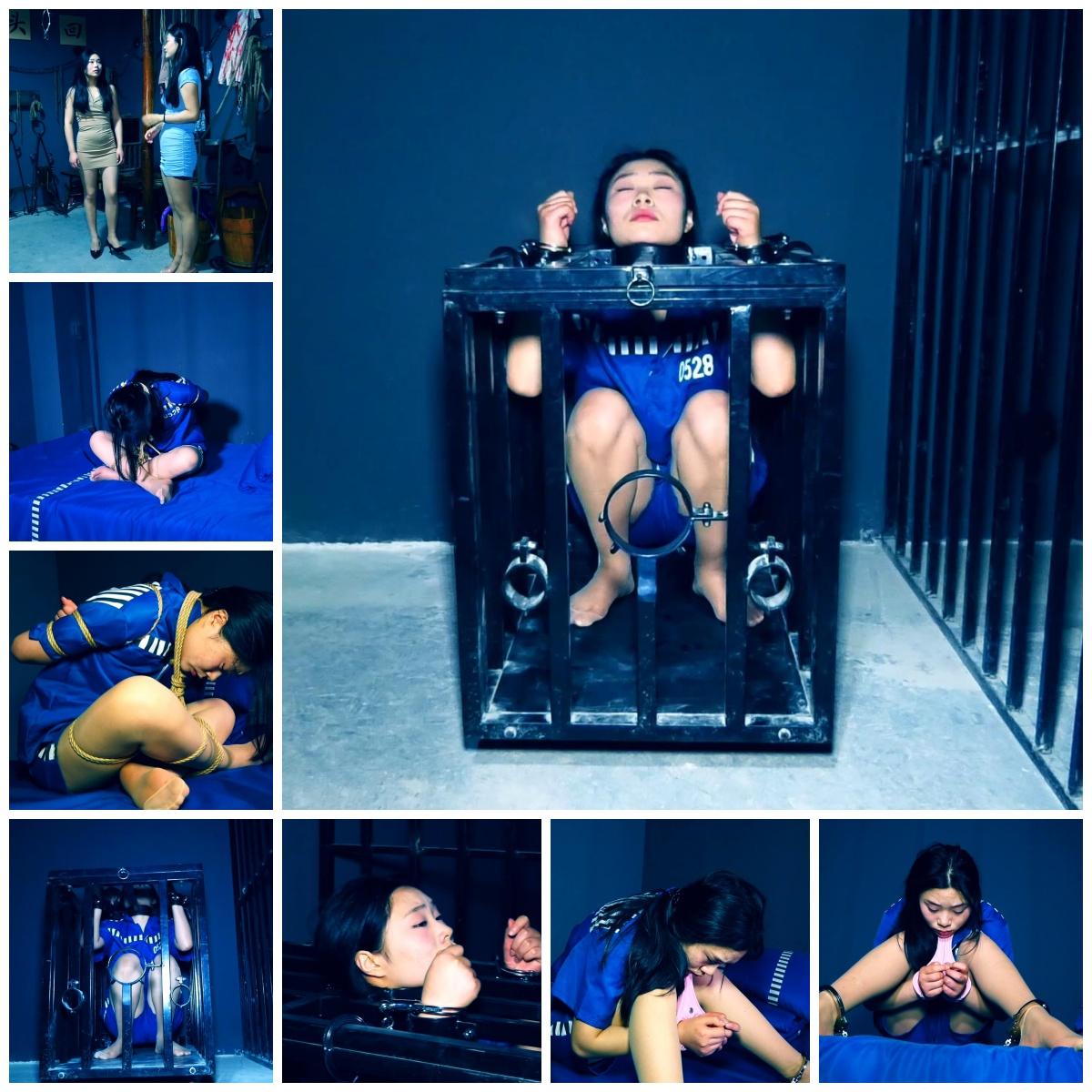 一名叫安娜的女孩有着猎奇的心理，偶然间在网上发现一个监狱主题的基地，于是就来体验一把囚徒生活。先是签订卖身协议，然后被带到牢房sange.ink/?p=9962