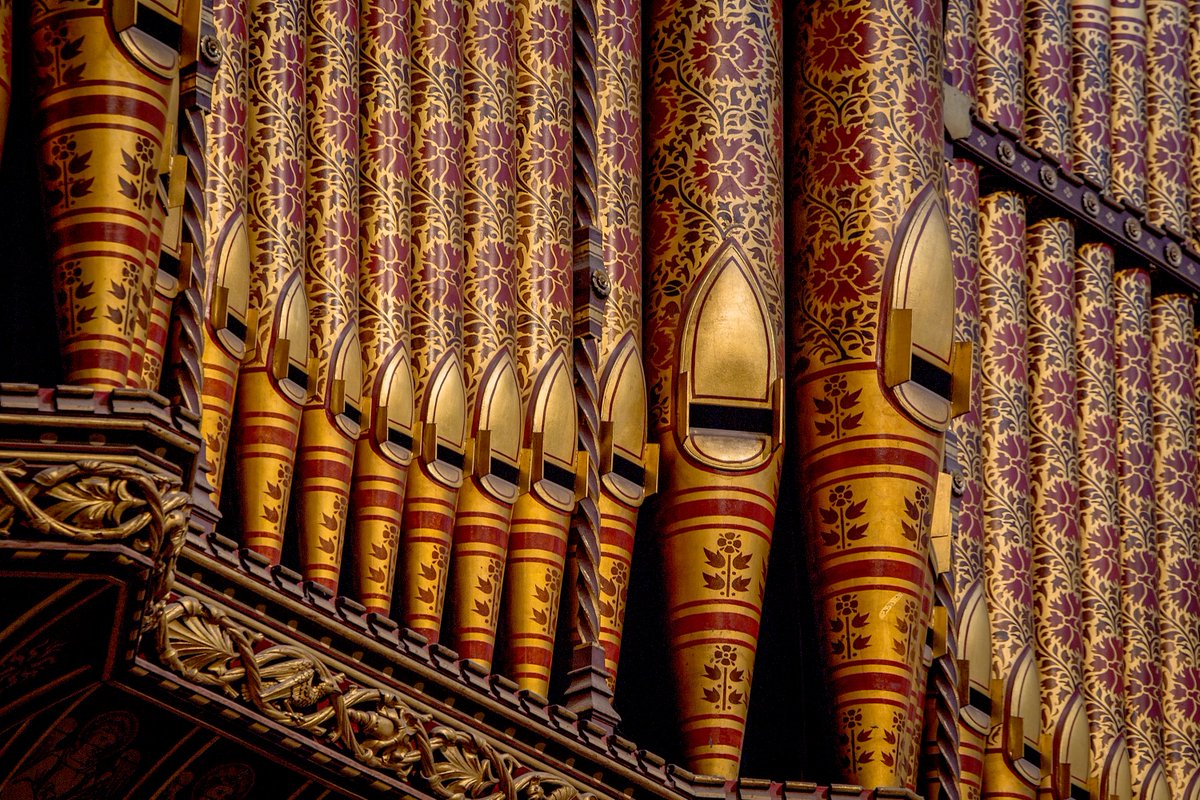 DCathFriends tweet media