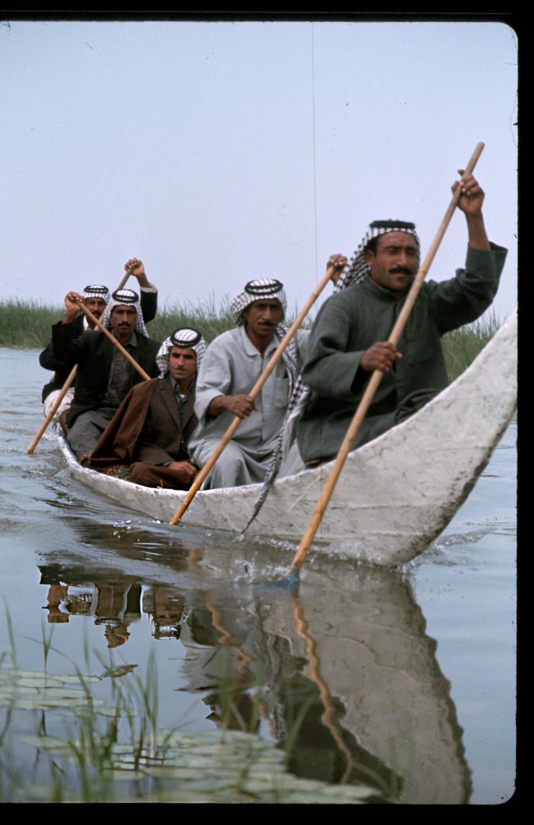 IRQMso's tweet photo. مشاهد ساحرة من الحياة اليومية في الأهوار، جنوبيّ العراق، بعدسة المصوّر البريطاني Nik Wheeler، بين عاميْ ١٩٧٥-١٩٧٨مـ. https://t.co/GjZWHaX38v