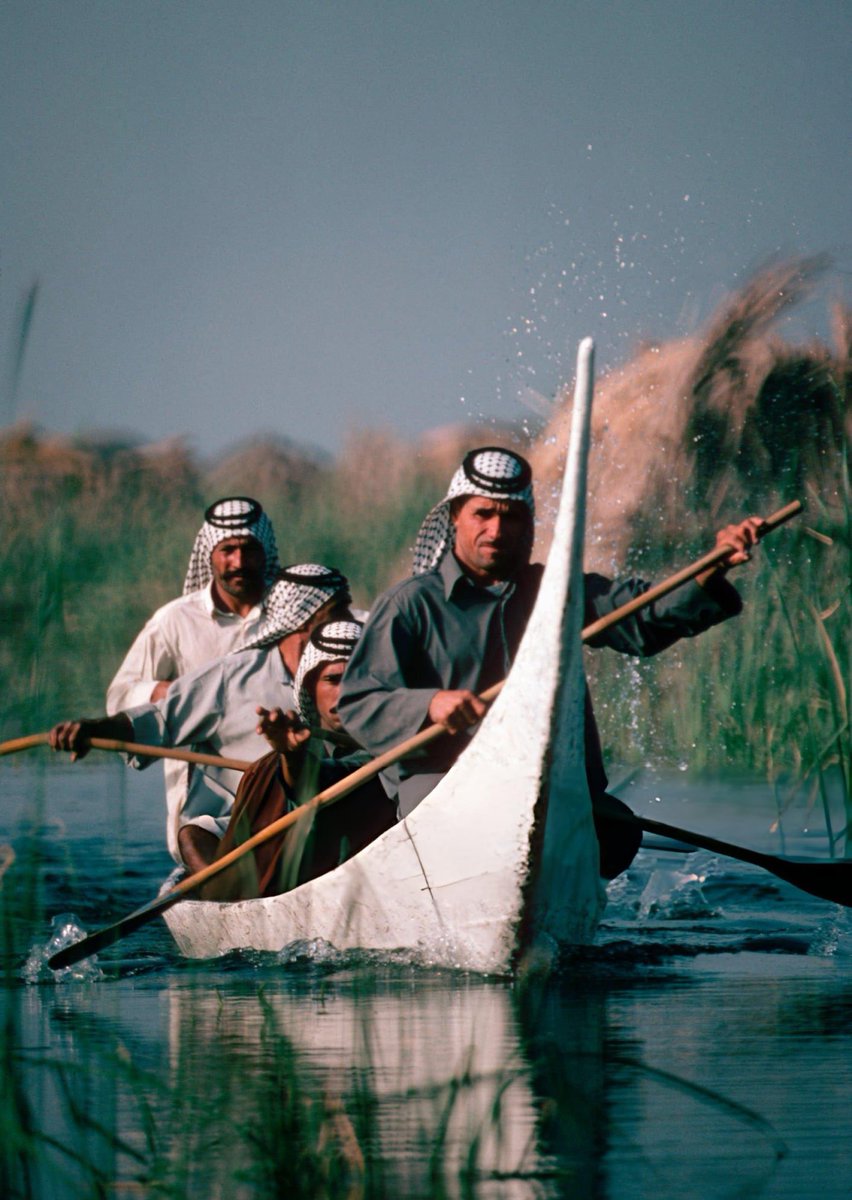 IRQMso's tweet photo. مشاهد ساحرة من الحياة اليومية في الأهوار، جنوبيّ العراق، بعدسة المصوّر البريطاني Nik Wheeler، بين عاميْ ١٩٧٥-١٩٧٨مـ. https://t.co/GjZWHaX38v
