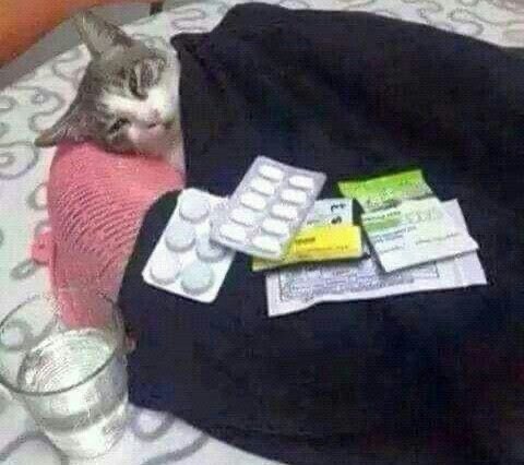 _lf47's tweet image. 