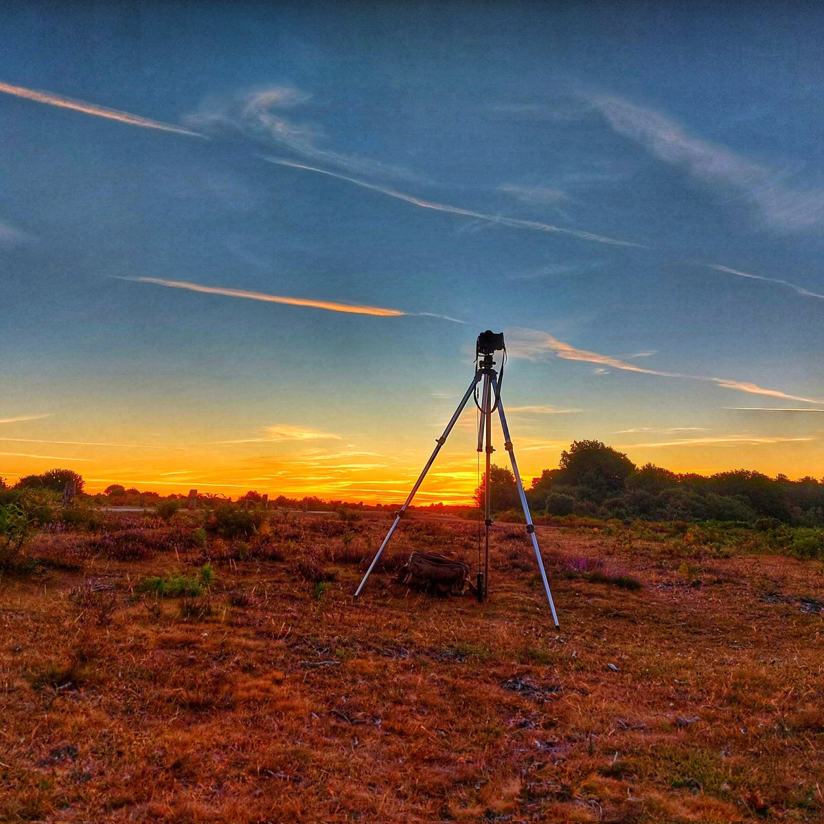 Phill Denson tweet media