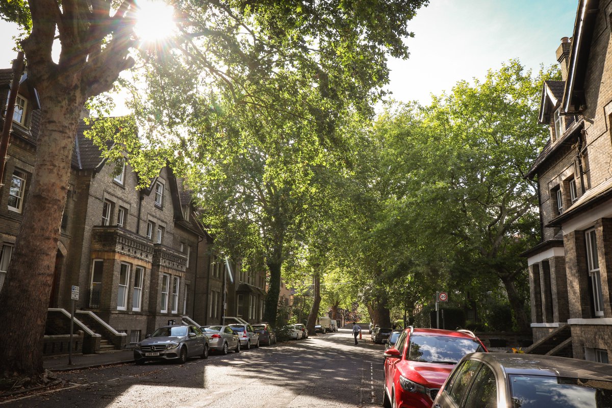 Lining streets with trees may look great, but they also offer a lot of practical benefits for residents, like:

💨 Cleaner air
🔉 Reduced road noise
❄️ Cooler streets
🚗 Calmer traffic