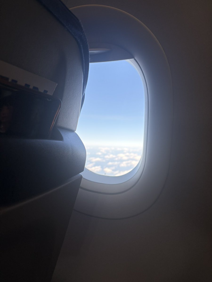 초생강 tweet media