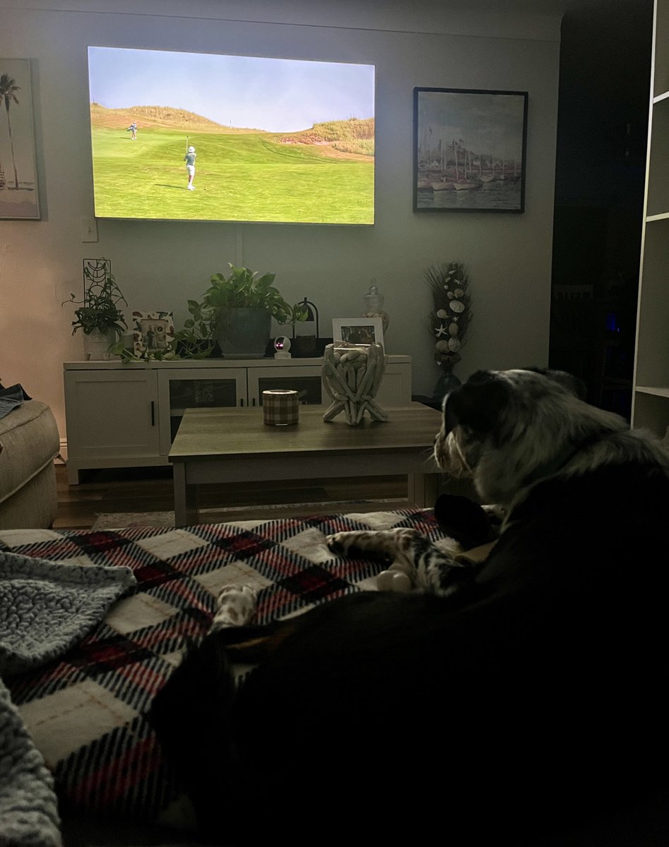 rufio0618's tweet photo. Baron appreciating the Brothers Schuster battle at Sand Hills @NoLayingUp https://t.co/YluKkXRP0q