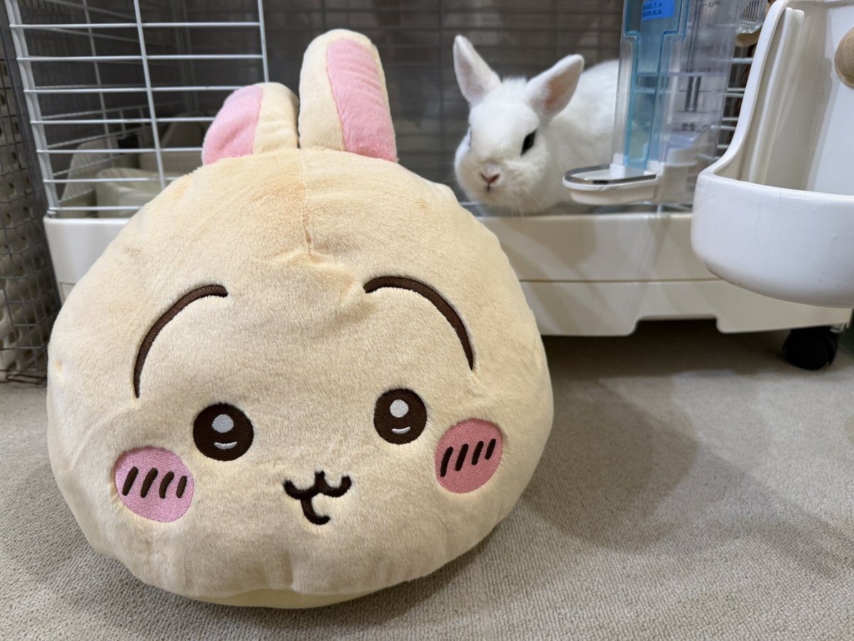 ヴェーやん (@83mitsu_mitsu) / Posts / X