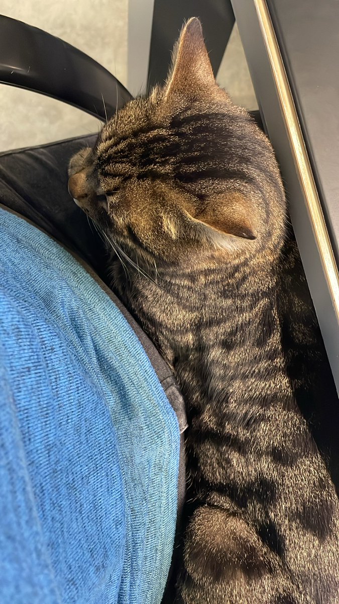 Io dovrei andare a fare la pipì, ma come faccio ad alzarmi?! 😅😅