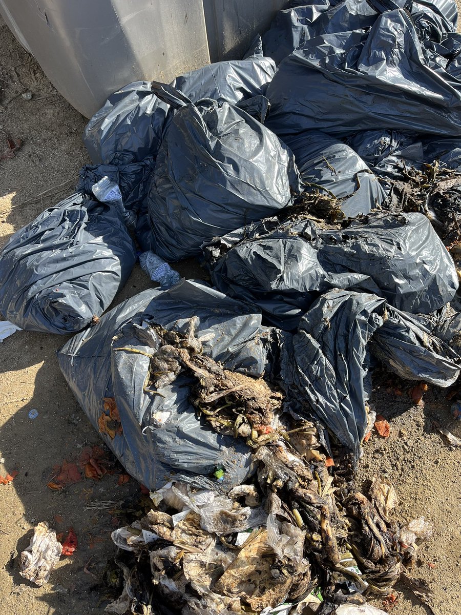 Este es el resultado de la ocurrencia del <a href="/AjBadalona/">Ajuntament de Badalona</a> de poner un solo contenedor (y pequeño) en la zona donde está el restaurante Cal Dimoni. 100 euros de tasa de basura… Gracias al gobierno de la #InutilidadAbsoluta de #Albiol #Badalonisme #Canyet #SerraladaMarina