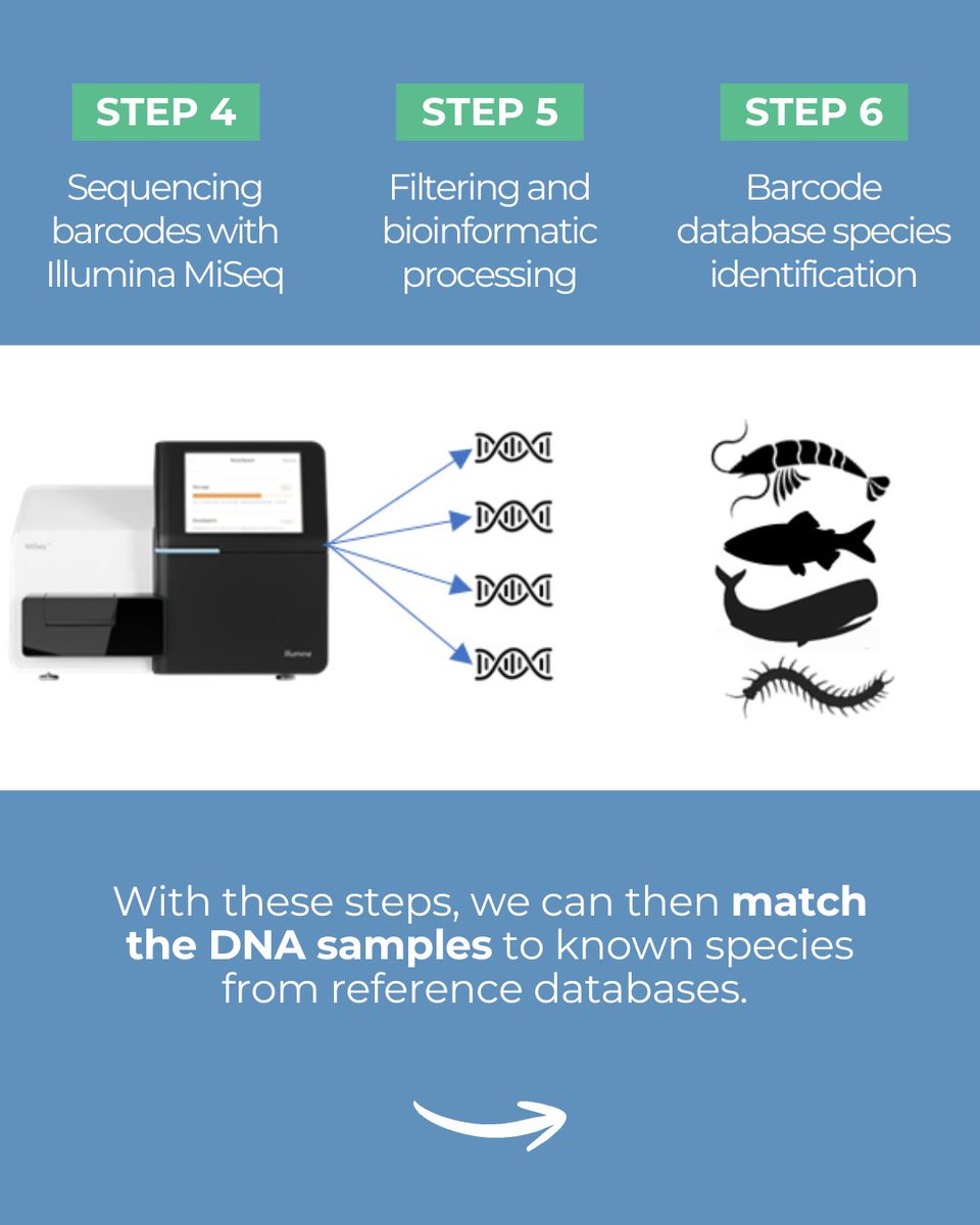 BioProtect Project tweet media