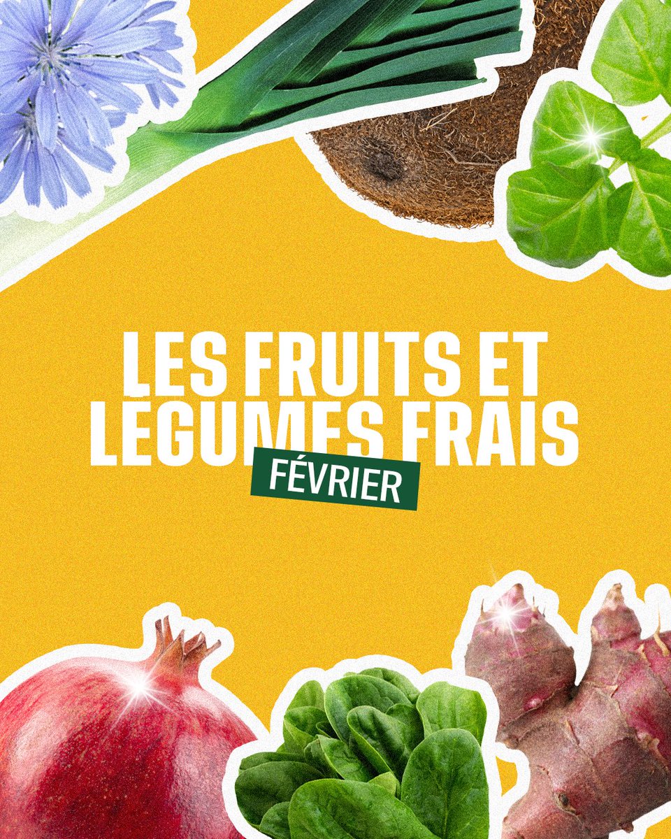 Interfel tweet media