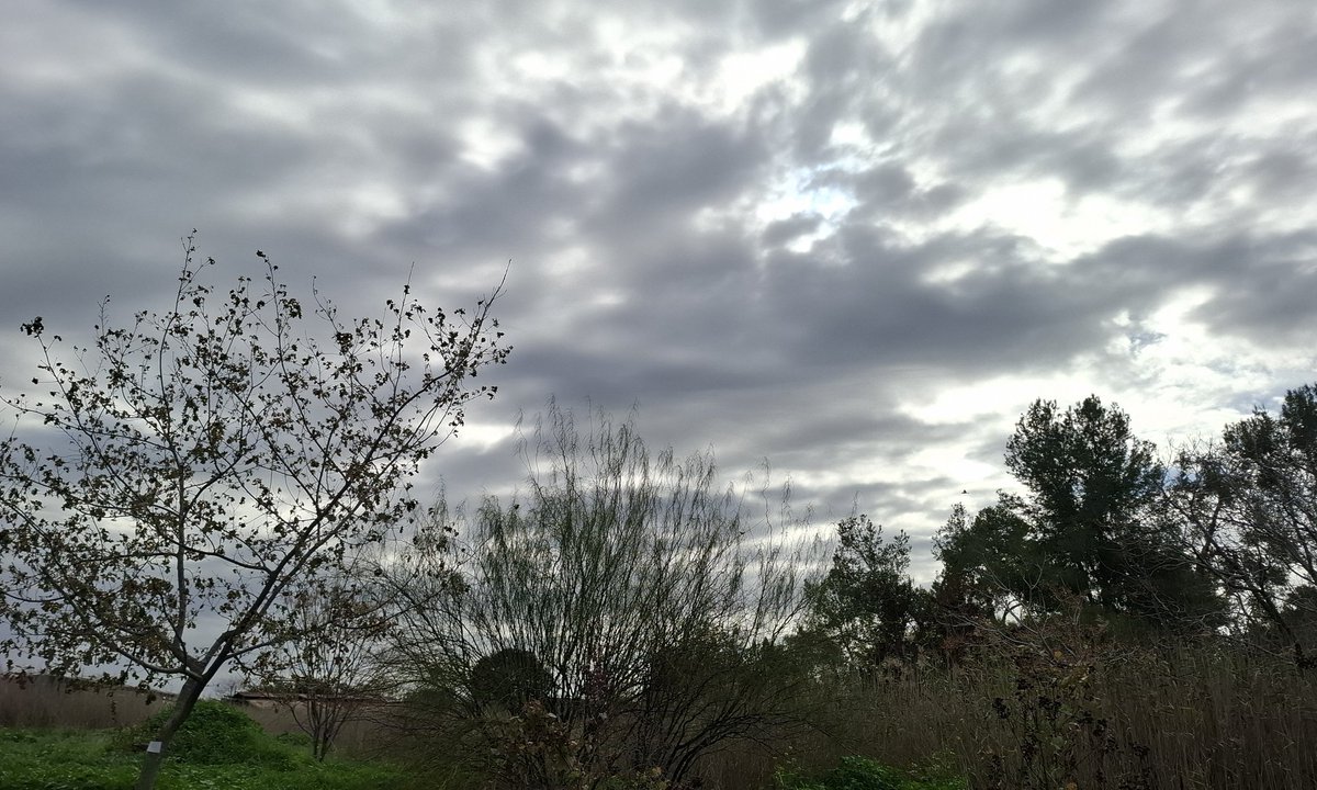 Bat_Shemesh's tweet image. .... sin palabras...