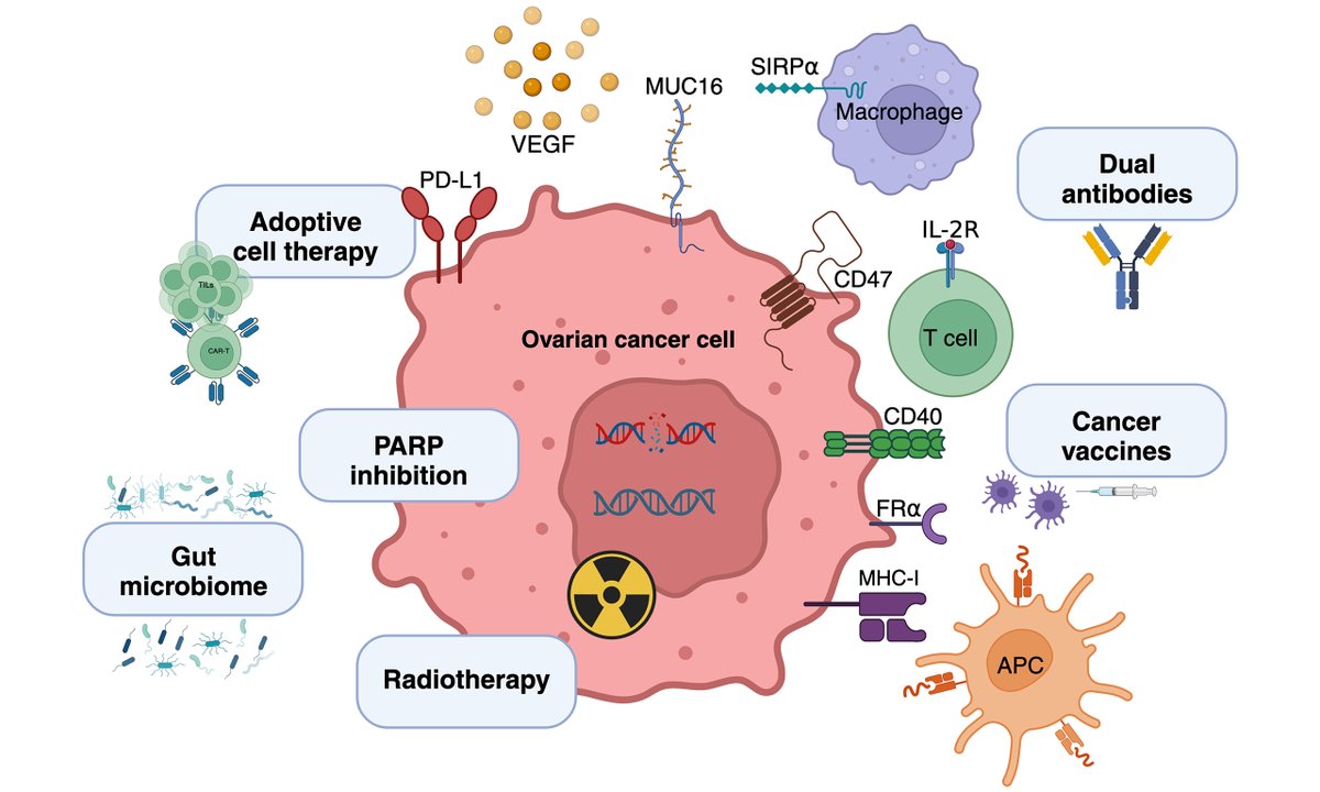 Cancer Drug Resistance tweet media