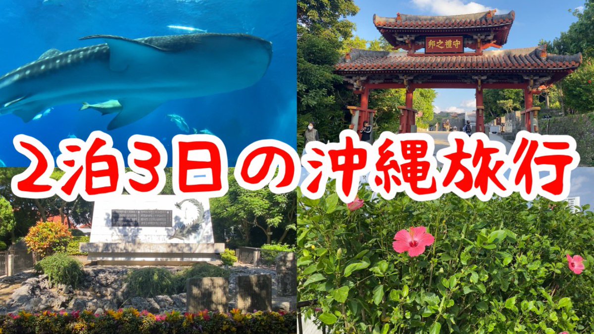 maaroom2021's tweet photo. 沖縄旅行楽しかったなぁ〜！！
今年も絶対に行きたい！
#沖縄
#沖縄旅行
#YouTube
#首里城

【沖縄旅行】幸せな時間をありがとう！10年振りの沖縄旅行は最高でした🌺
https://t.co/iBU3E9IA2x https://t.co/nafnaXUCkI