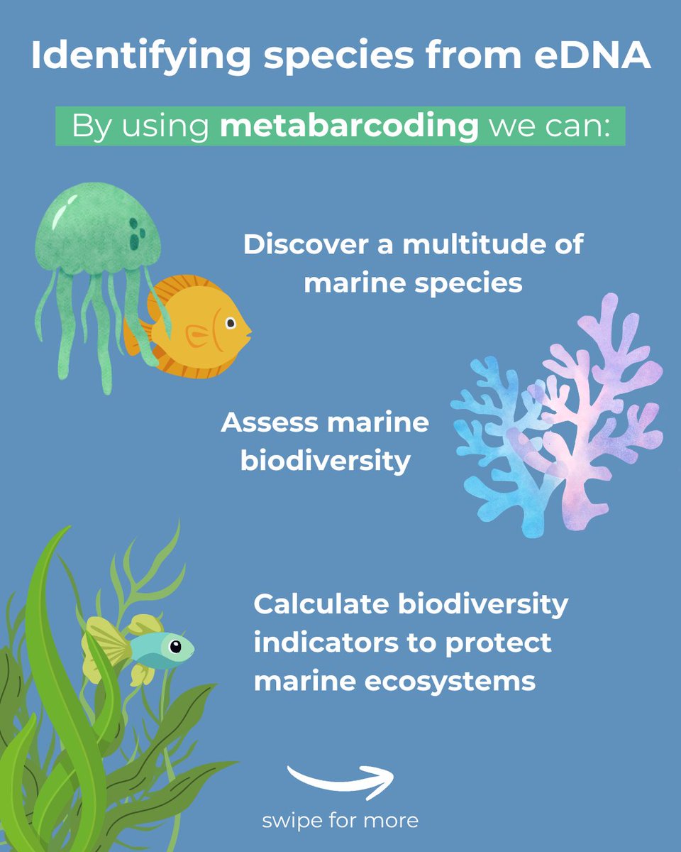 BioProtect Project tweet media