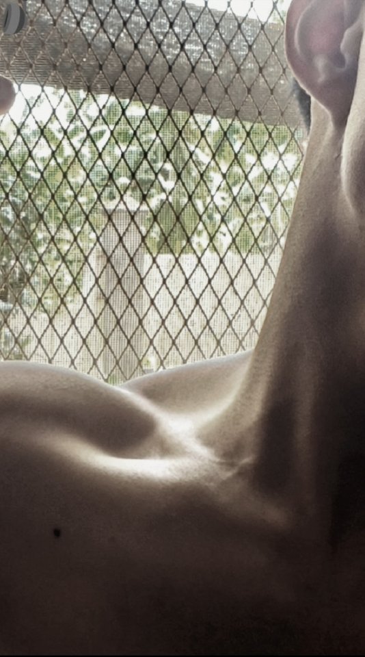 NightRider 🏍️ tweet media