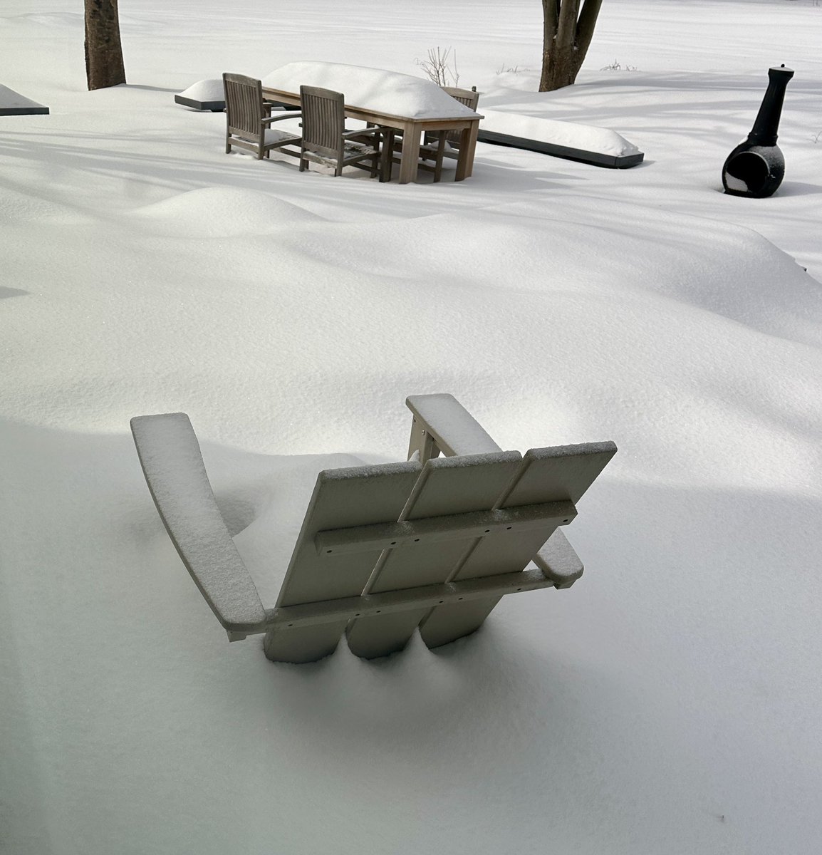 Hester de Voogd tweet media