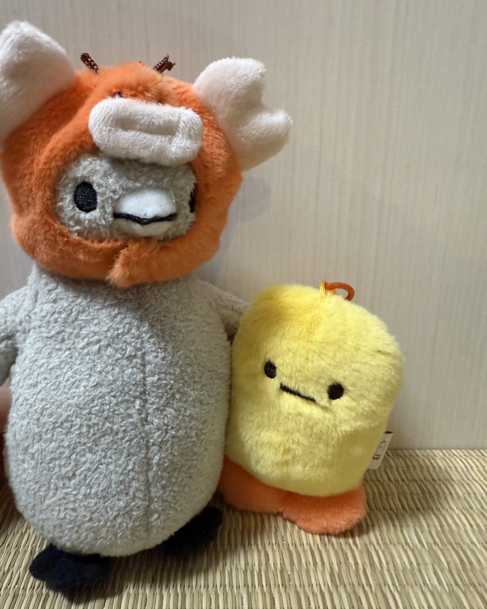 新しいお友達🍤