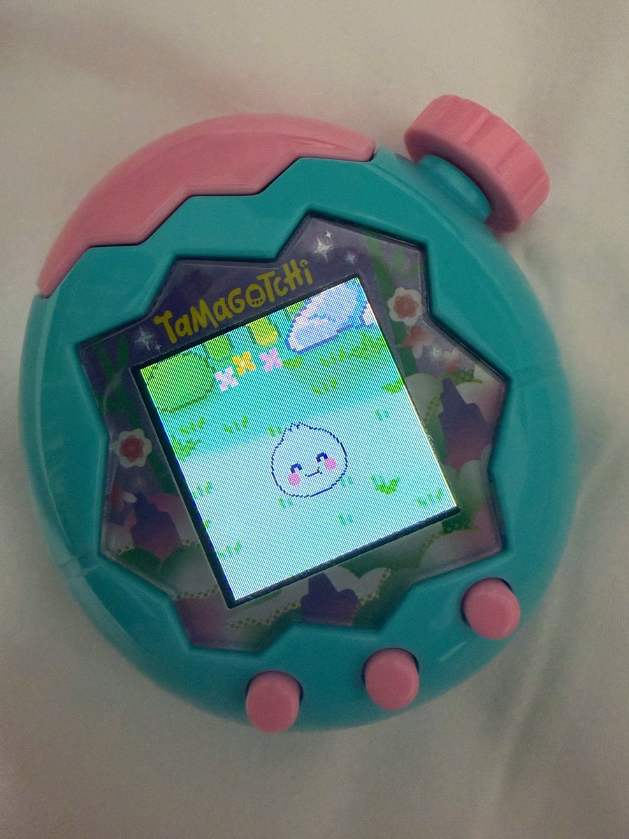 저 다마고치 파라 드디어 샀는데 얘 언제 커요