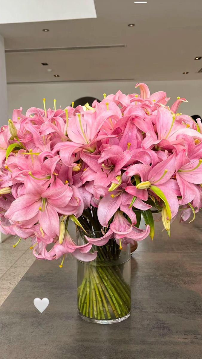 bloomifyyy's tweet image. 