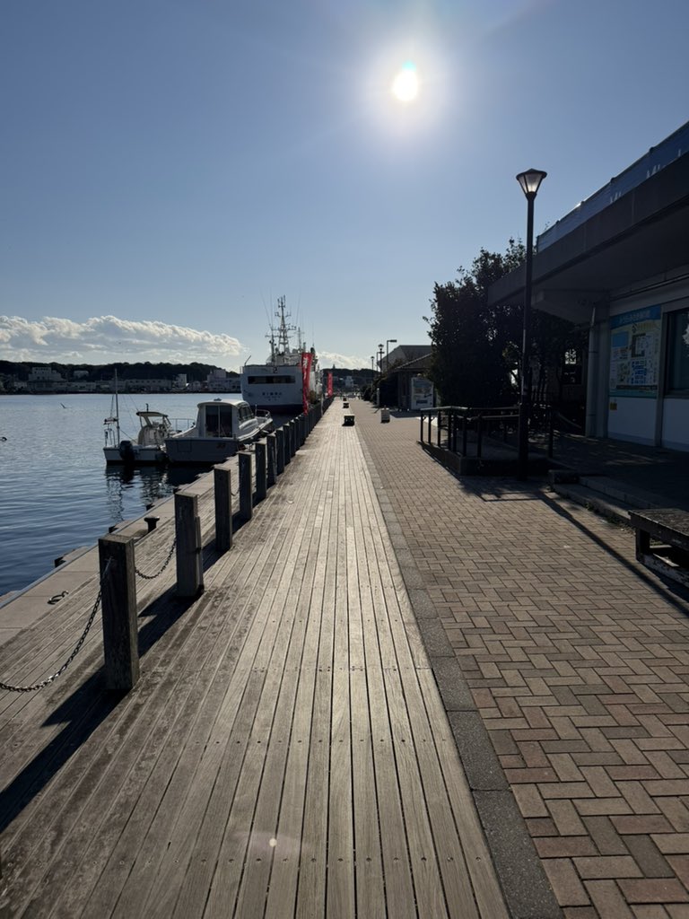 some_toshi's tweet image. 三崎漁港のうらりマルシェにも行ってきました✨

ヤギオがムネチカをかばって根岸に刺されたり。
二人で話したりコケたり。

良いツーリングでした☆

バイクは懐かしい景色もくれる。
ただめっちゃ寒い🥶笑

#アンリアル 
#UNREAL
#GB350