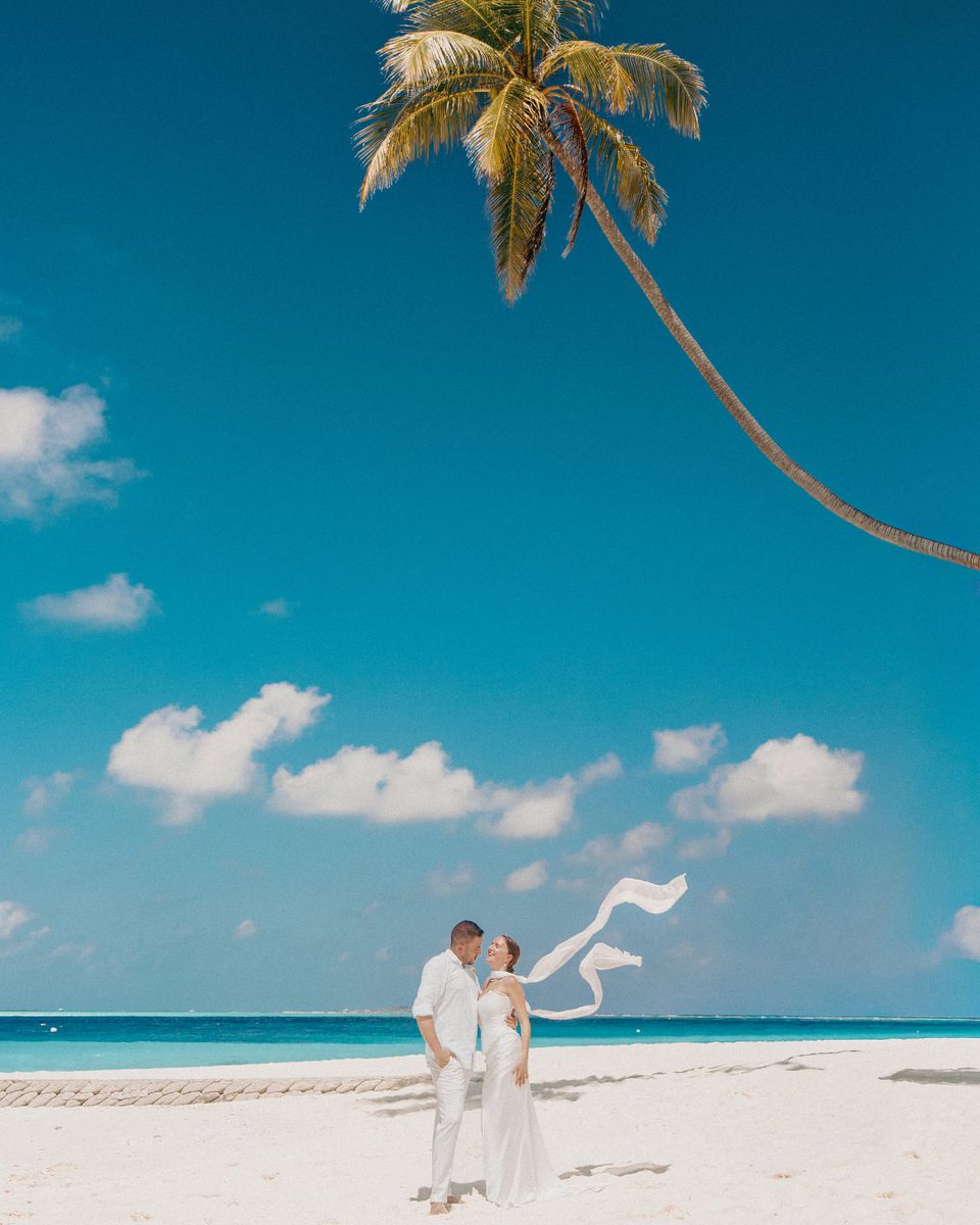 Fushifaru Maldives tweet media