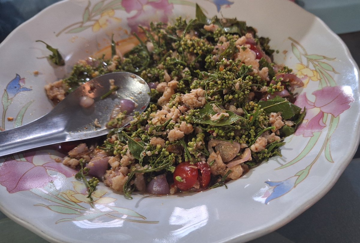 冬野菜のサダオも食べ納め。ゴーヤがマイルドに感じるくらいの苦さがたまらん。ヤムで挽き肉と和えて、ヤムサダオ。
#สะเดา