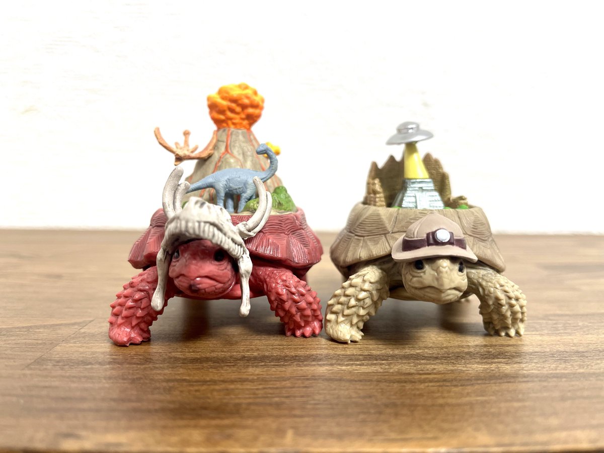 大陸ガメ こんなクオリティ高くて可愛い亀のガチャがあるて知らなかっ