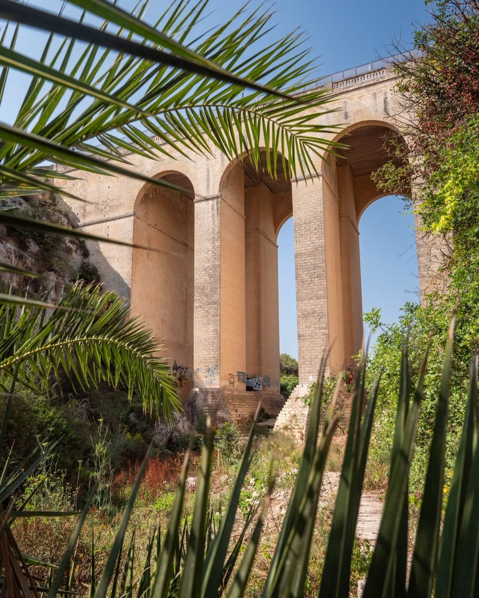 lovemaltatv's tweet photo. Visiting Wied il-Għasel, Mosta, Malta🇲🇹
📷 rudeiczarne_travelblog
#łovemalta #malta #visitmalta #mosta https://t.co/MjWjWl6rxH